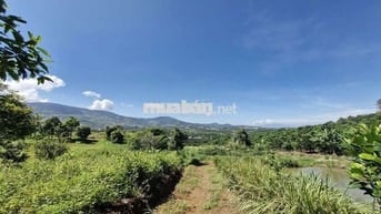 SIÊU PHẨM GẦN 2ha, 300m BÁM ĐƯỜNG BÊ TÔNG