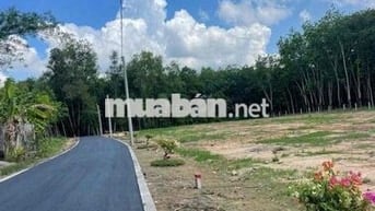 Đất trung tâm TPHCM đường nhựa kinh doanh giá chỉ 290tr hỗ trợ bank