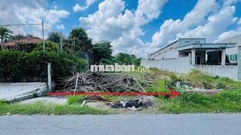BÁN DÙM CHÚ NĂM LÔ ĐẤT SÁT CHỢ TÂN THÔNG HỘI CỦ CHI - 590 TRIỆU