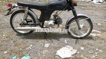 Honda 67