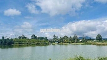 View hồ Mai Thành - Phường Lộc Tiến- TP.Bảo Lộc DT 21x58m quy hoạch TC