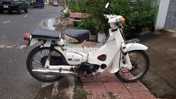 50c ko cần bằng lái