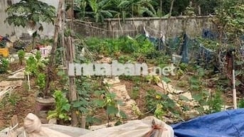 MẢNH ĐSÁT ĐẸP NAM PHÙ ĐÔNG MỸ- DT65M, Ô TÔ 7 CHỖ TRƯỚC ĐẤT 4M, 4.35 TỶ