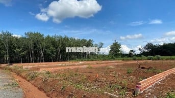 Đất nền sẵn sổ 390m2 mặt tiền đường, Long Hà, Phú Riềng, Bình Phước