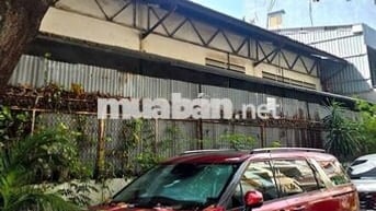 Kia Carnival 2024 2.2D Signature 7 ghế