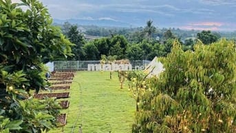 Cần tiền gấp bán lỗ lại lô 515m2 view đồi giá 600tr