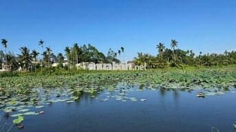 Cần tiền bán nhanh lô đất điện bàn đông- đà nẵng
