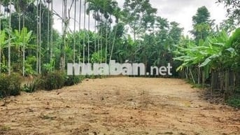 ĐẤT VƯỜN/NHÀ Ở VỊ TRÍ 2 MẶT TIỀN 330m2–THÔN DIÊU PHONG, BÀ NÀ, ĐÀ NẴNG