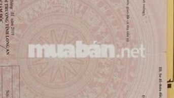 🔥 BÁN ĐẤT CHÍNH CHỦ – PHƯỜNG 7, TP. TÂN AN – HẺM 83 NGUYỄN VĂN RÀNH 🔥