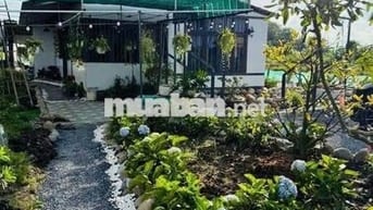 Siêu phẩm đất nghỉ dưỡng tại Định Quán – cơ hội không thể bỏ lỡ!