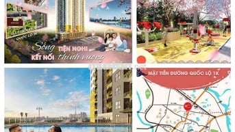 CHỈ 300 Triệu SỠ HỮU CĂN HỘ BCONS ASAHI - PHONG CÁCH NHẬT BẢN