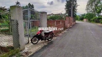 con gái cần tiền đi du học chủ cần bán gấp lo cho con cái