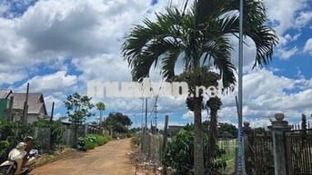 ĐẤT ĐẸP FULL THỔ CƯ GẦN CHỢ TÂN HỘI - LÂM ĐỒNG