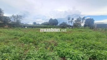 Chính chủ bán đất gần sân bay Liên Khương chỉ 730 triệu sổ riêng