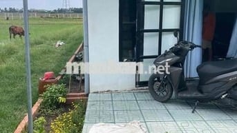 Nhà Mỹ Hạnh Nam 1 trệt 1lững ,2 mặt tiền