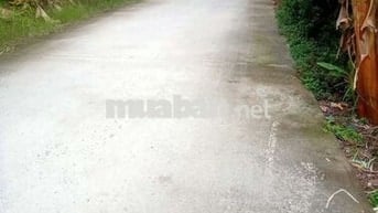 Nền vi bằng lộ ô tô 4 m. Sau này hỗ trợ lên thổ cư
