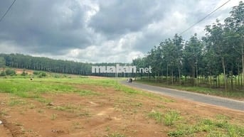 Kẹt tiền cần sang lô đất 1000mv gần mặt tiền xuyên tâm 32m