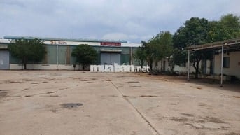 CHO THUÊ KHO BÃI 4.000m² – TRUNG TÂM TP. VŨNG TÀU 🚛