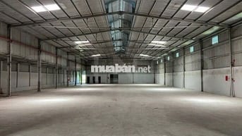 Kho xưởng 1.200m² có PCCC và điện 3 pha, đường Quốc Lộ 91B