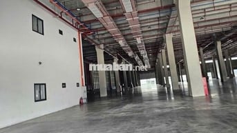 Cho thuê kho xưởng 10.000m2 – 17.000m² KCN Long Hậu, giá : 4.37 USD/m²