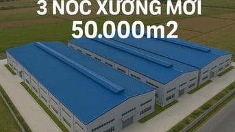 Cho thuê kho xưởng KCN Tân Phú Trung, Củ chi, PCCC tự động , dock cont