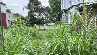 em chủ đất cần bán mảnh đất tại tây vị Thanh Mỹ