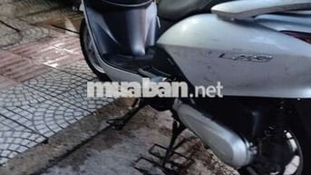Xe cọp