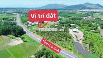 Vị trí ngay đường tl44b - đường nhựa rộng 8m xã Phước Hải ,BRVT