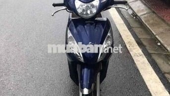 vision zin chất gấu xe như hình