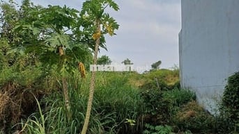 Cần bán lô đất chính chủ giá 420tr DT 68m2, phường Tân Phong, Biên Hoà