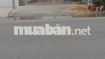 Bán Đất Củ Chi : 5,5x54 - Tân Phú Trung - SHR. Giá 1 tỷ 500 triệu