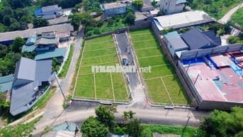 Đất sổ đỏ 100m2. Cách quốc lộ 21A chỉ 50m2 tại Phú cát, Hà Nội