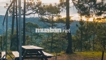 Sở hữu một mảnh đất nhỏ nhưng đủ để tận hưởng cuộc sống an yên