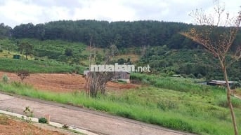 Chính chủ bán đất view thông 790 triệu 320m2 có 108m thổ cư ven Đà Lạt