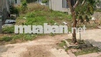 CHÍNH CHỦ CẦN BÁN 2 LÔ LIỀN KỀ 10M MẶT TIỀN KINH DOANH