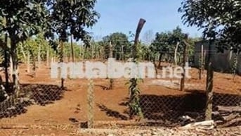 Chính chủ bán đất mặt tiền Xã bình thuận, thị xã buôn hồ