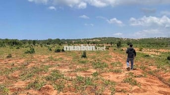Cần bán gấp lô đất view biển Bình Thuận 150k/m2