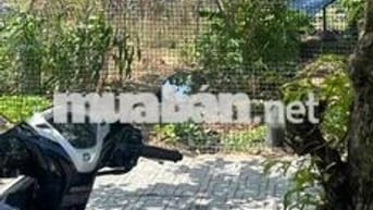 bán lô dất khu tái định cư bigc  đông hoà  gần siêu thu go
