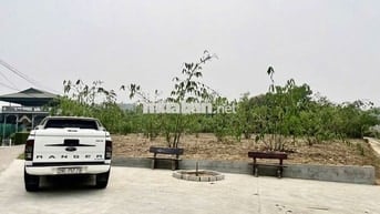 Bán đất tỉnh Phú Thọ. 1315m2. Gia đình kẹt tiền, bán rẻ hơn thị trường