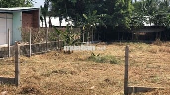 Đất ở tại nông thôn+ đất trồng cây lâu năm