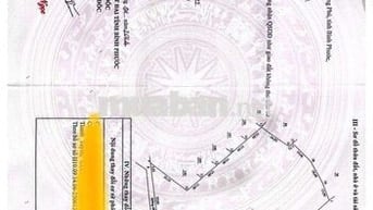 Đất Thị Trấn Tân Phú Đồng Phú Giá Rẽ