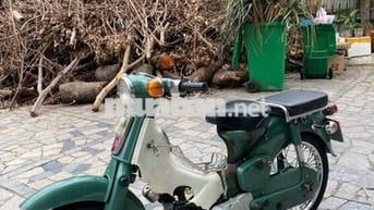 Xe Honda cup 50cc
