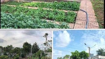 Có sổ hồng, mặt đường 16m, gần chợ