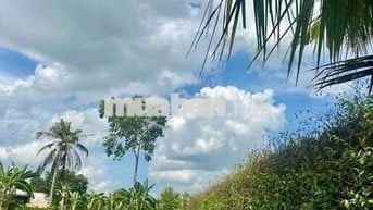 Giảm ngay 100tr còn 570tr/118m2 đất thổ cư.