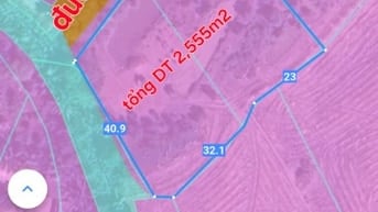 Bán 2,555m2 đất 2MT, đường Tập Đoàn 2, Tân Kim, Cần Giuộc, LA