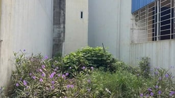 Em có lô đất tổ 5 Yên Nghĩa Hà Đông Hà Nội mặt tiền kinh doanh cần bán