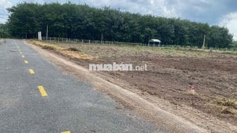 KẸT TIỀN XÂY NHÀ THANH LÝ NHANH LÔ ĐẤT CHƠN THÀNH 390 TRIỆU