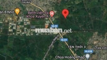 đất trồng cây lâu năm sát bv xuyên á
11 tỷ - 6.087 m2
