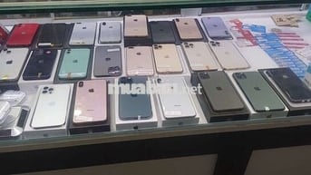 Xe zin chất