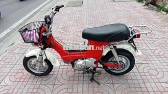 vhaly 80 có đề